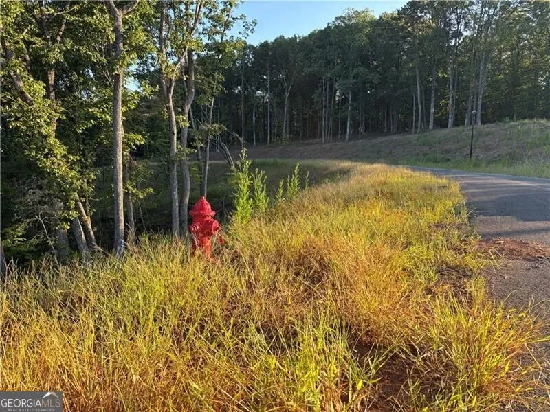 LOT 18 Norton Lane Dahlonega, GA 30533