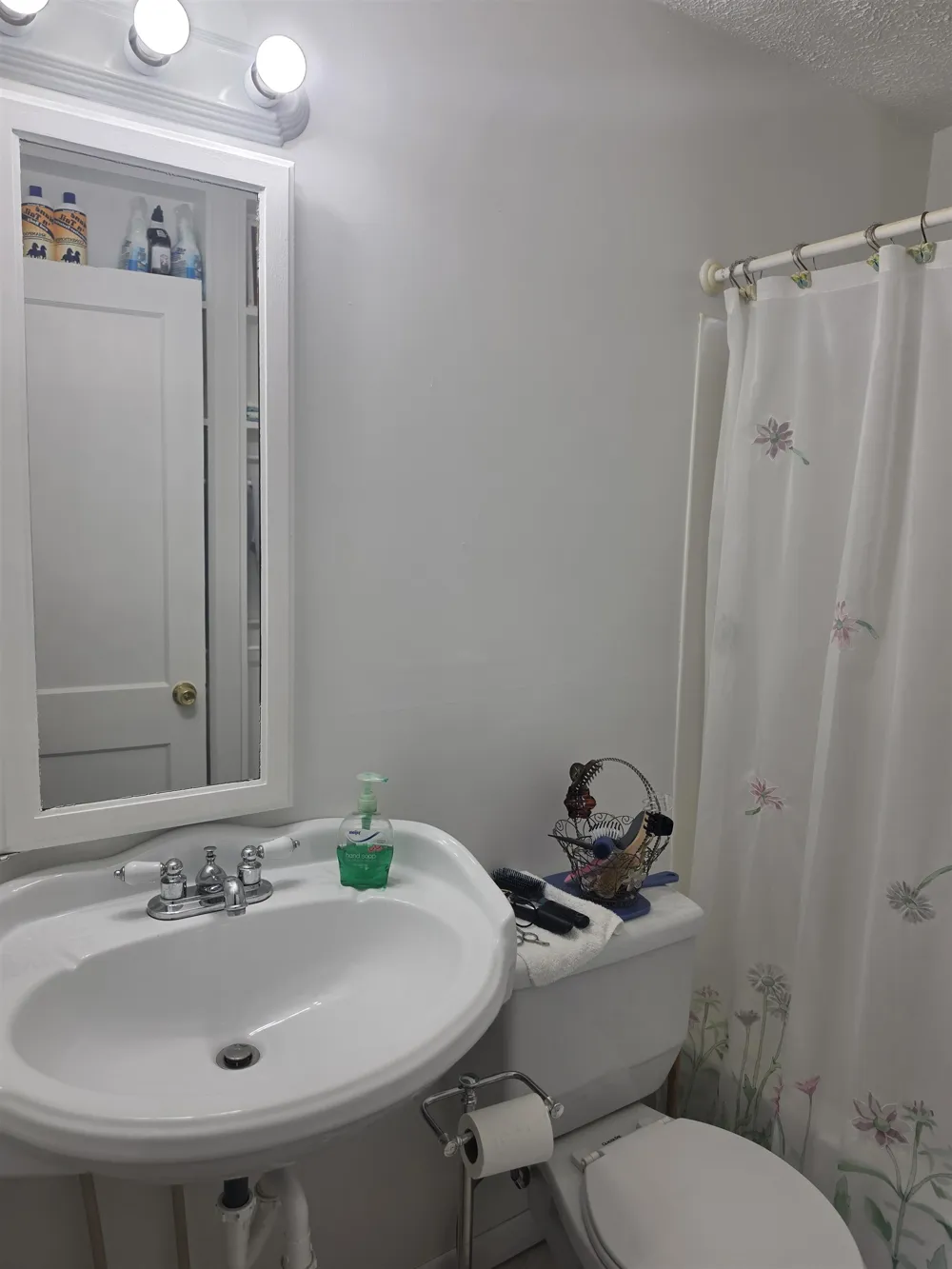 713 S Maple Manton City, MI 49663