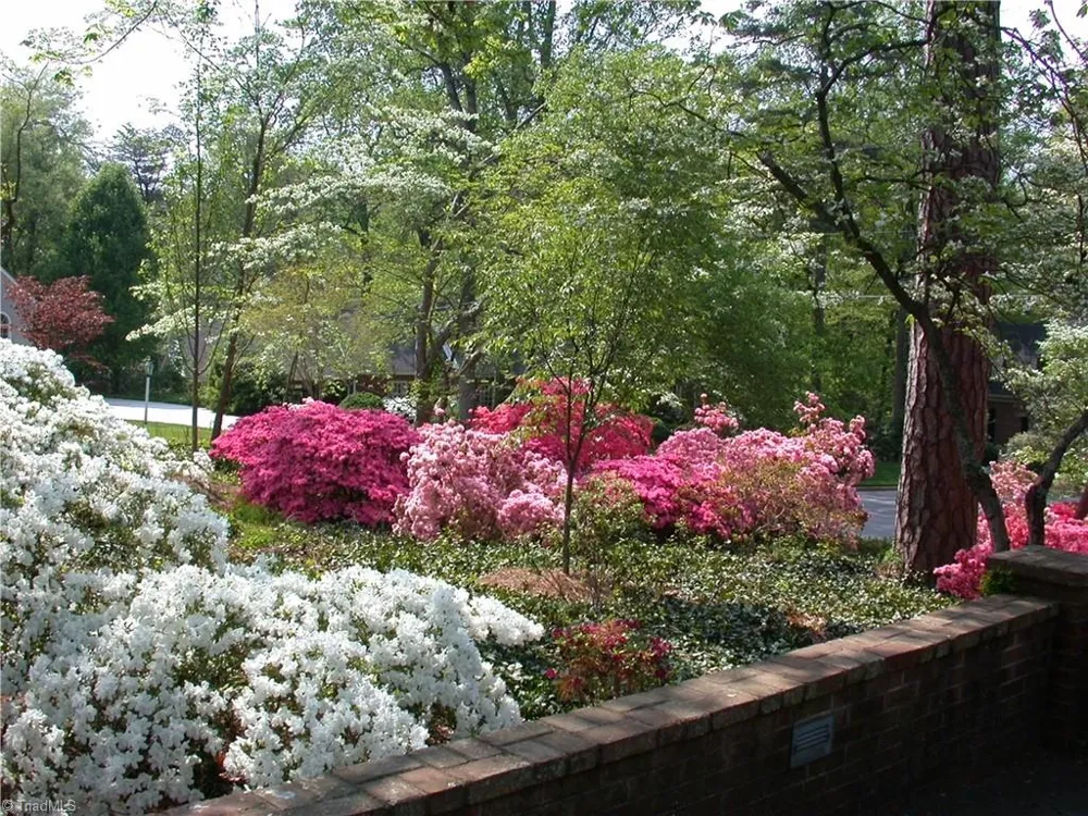 2822 Lazy Lane Winston-Salem, NC 27106