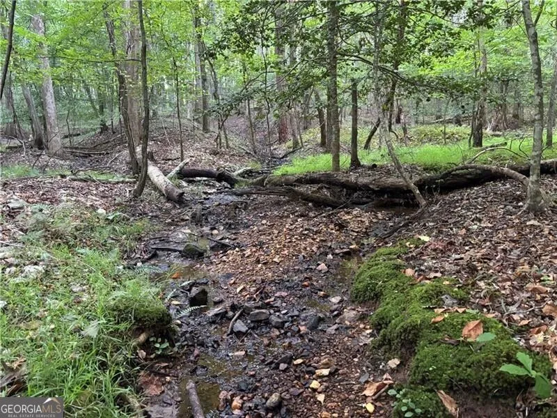 LOT 22 Norton Lane Dahlonega, GA 30533