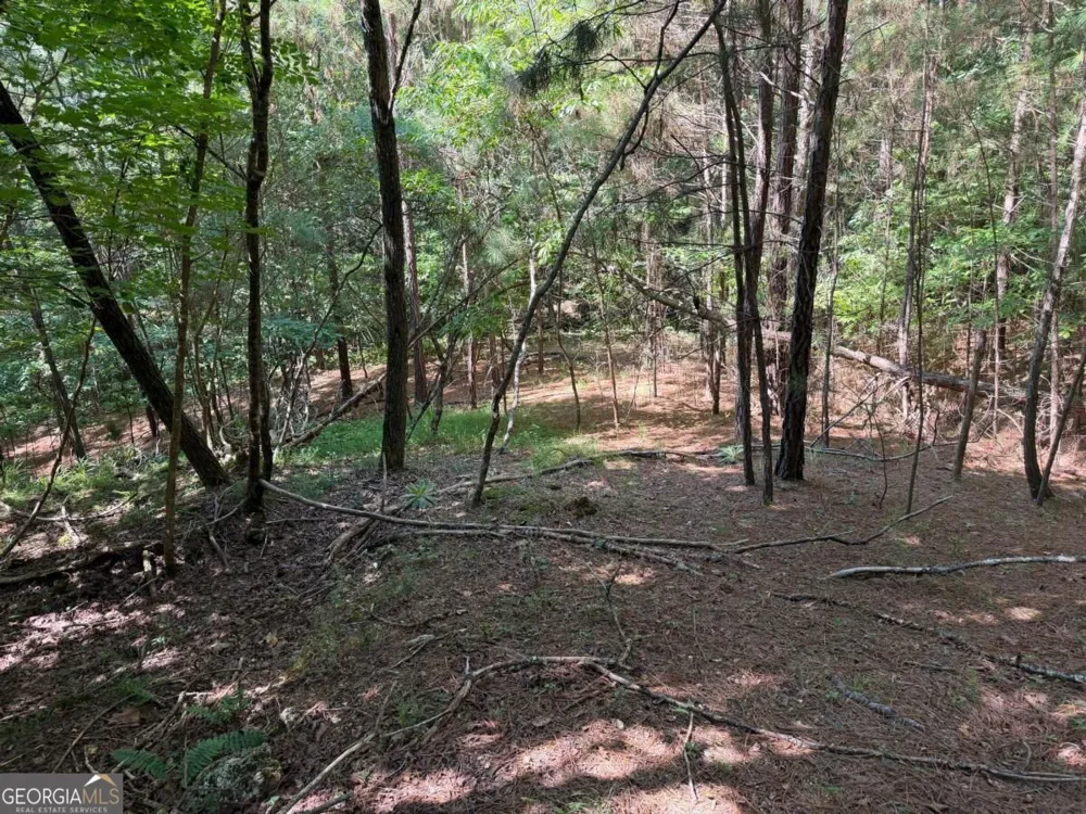LOT 25 Trailwood DR Blairsville, GA 30512