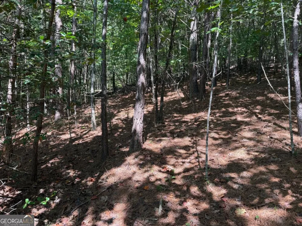 LOT 25 Trailwood DR Blairsville, GA 30512