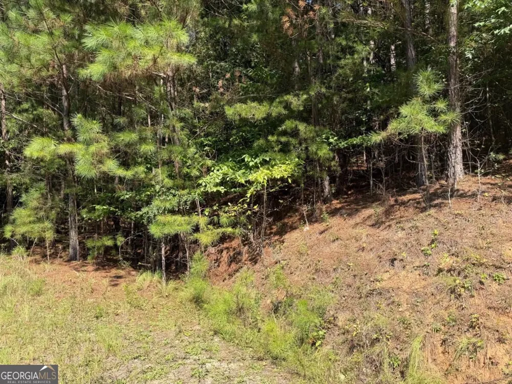 LOT 25 Trailwood DR Blairsville, GA 30512