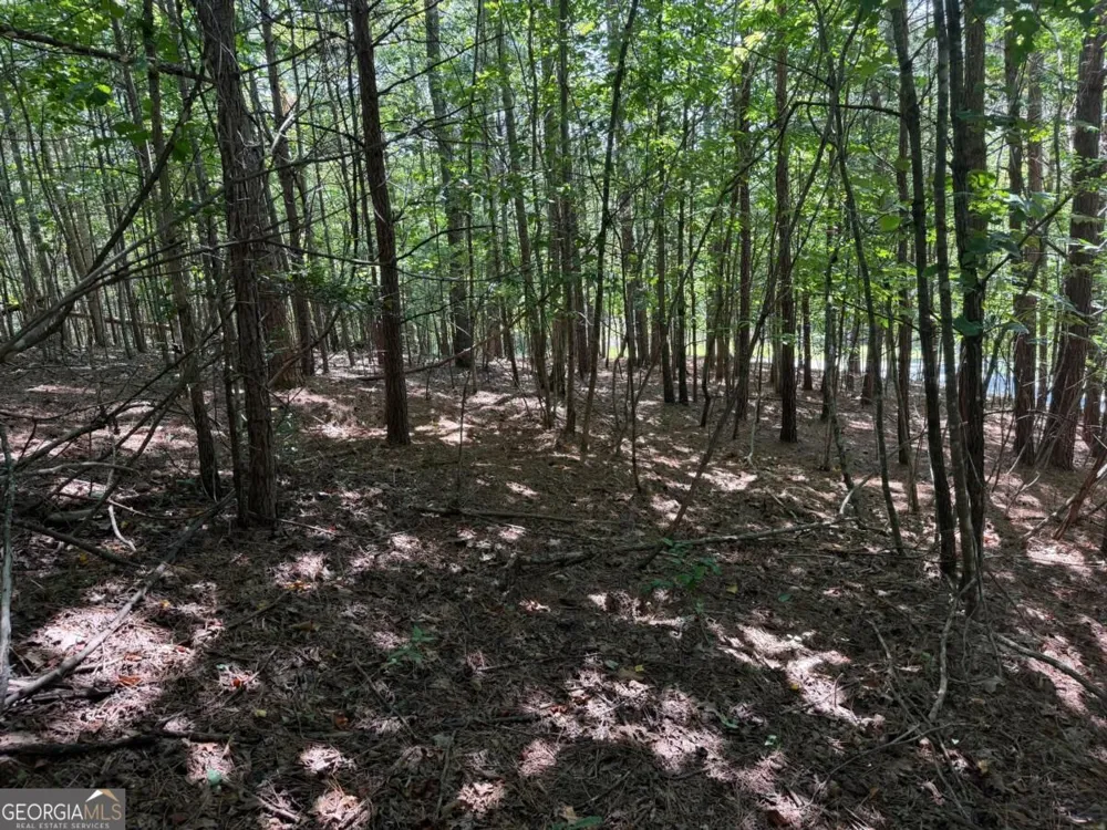 LOT 25 Trailwood DR Blairsville, GA 30512