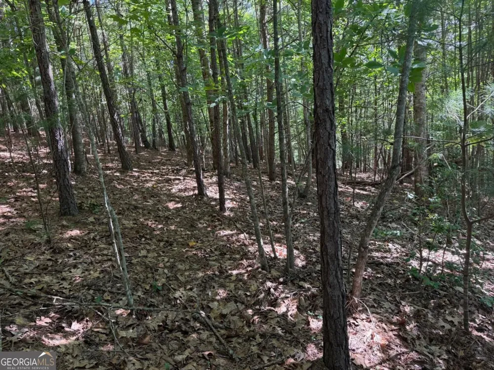 LOT 25 Trailwood DR Blairsville, GA 30512