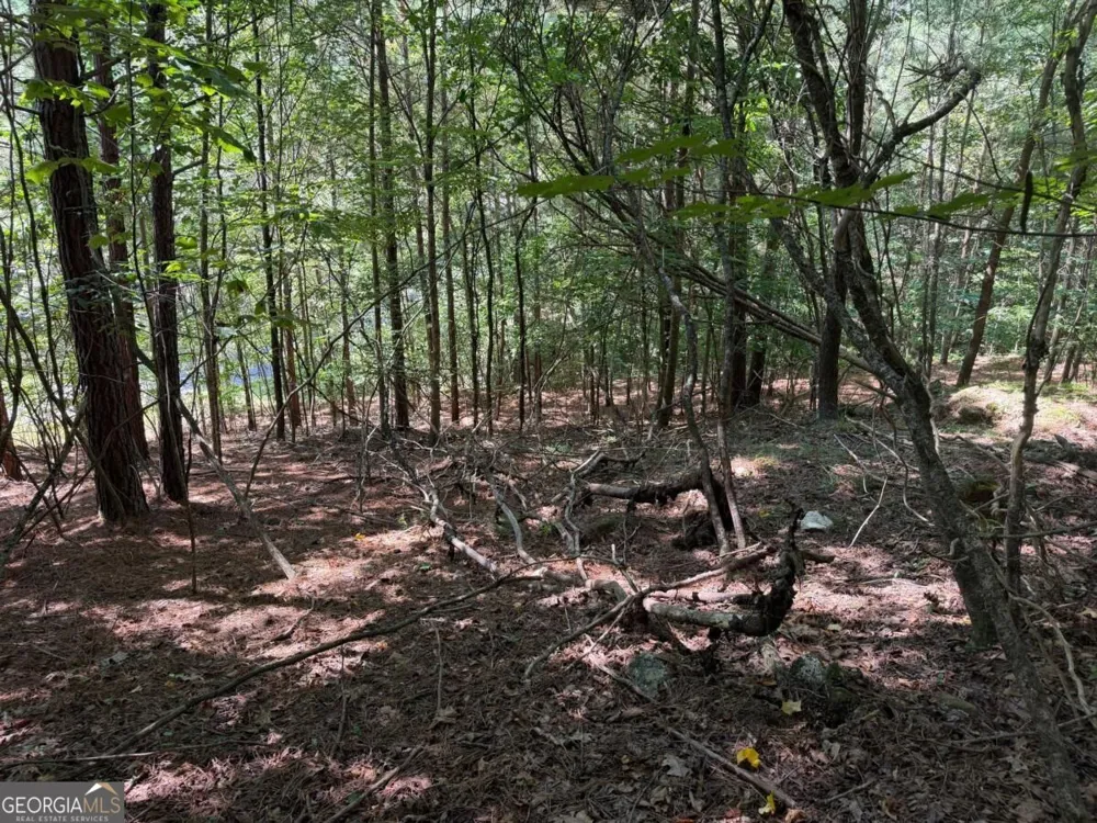 LOT 25 Trailwood DR Blairsville, GA 30512