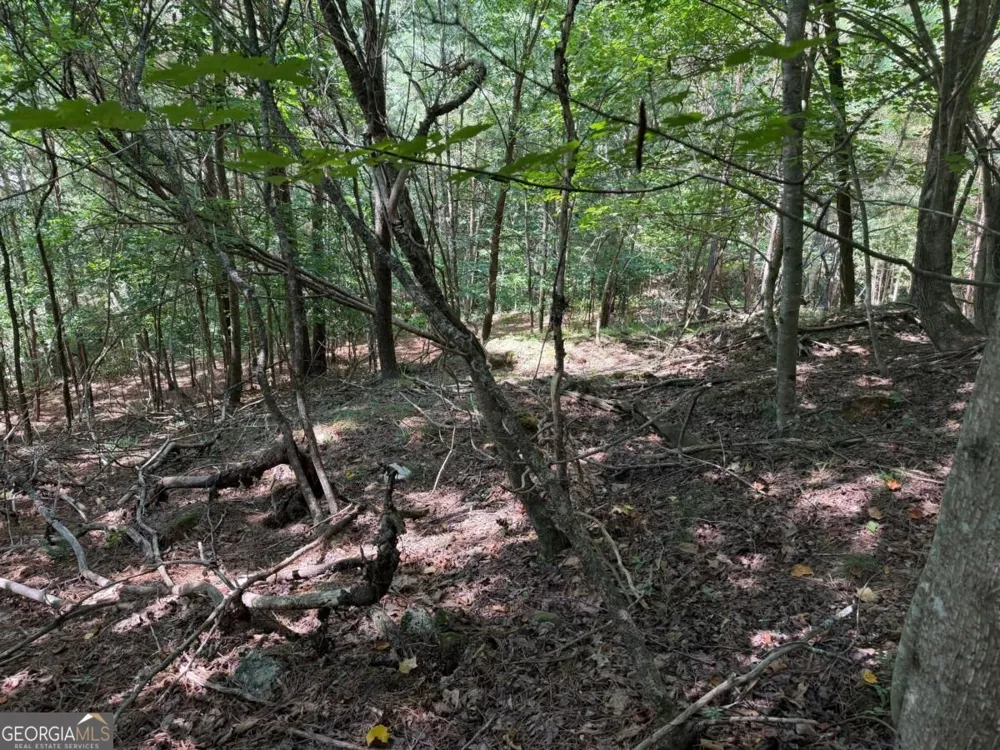 LOT 25 Trailwood DR Blairsville, GA 30512