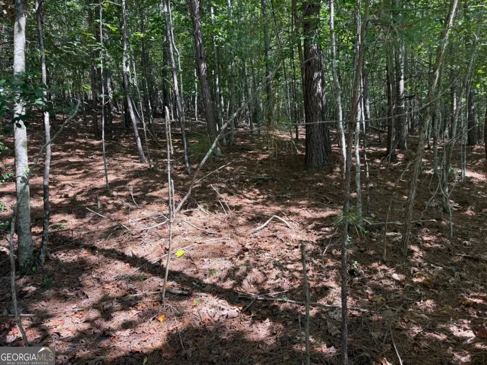LOT 25 Trailwood DR Blairsville, GA 30512