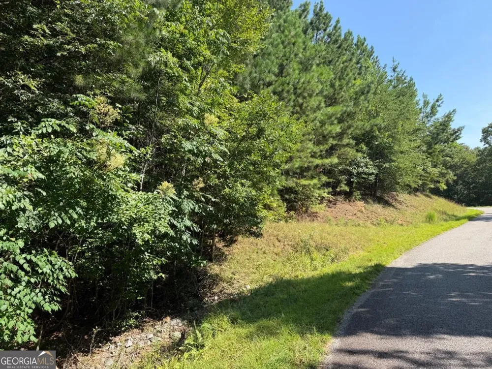 LOT 25 Trailwood DR Blairsville, GA 30512
