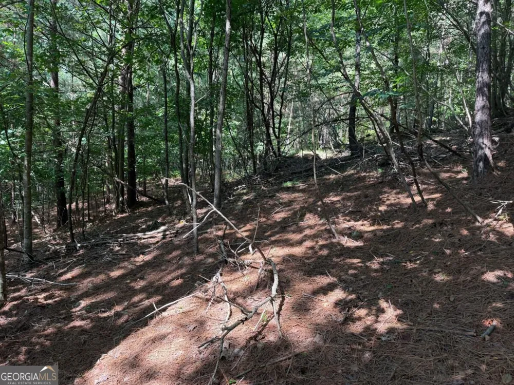 LOT 25 Trailwood DR Blairsville, GA 30512