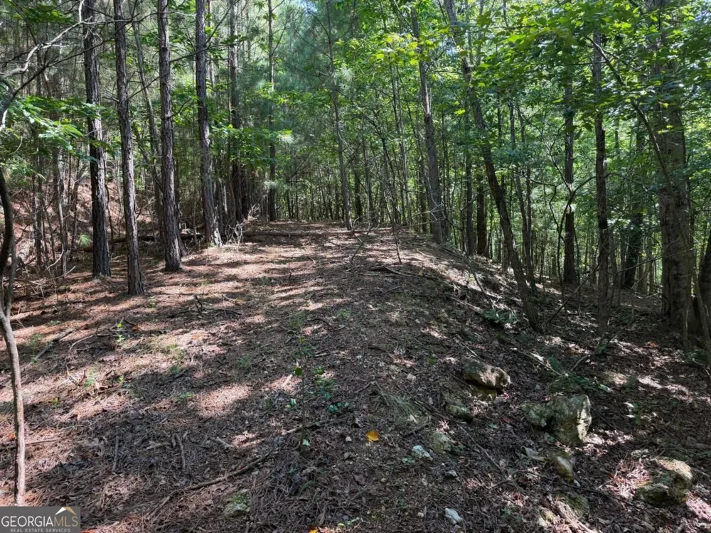 LOT 25 Trailwood DR Blairsville, GA 30512