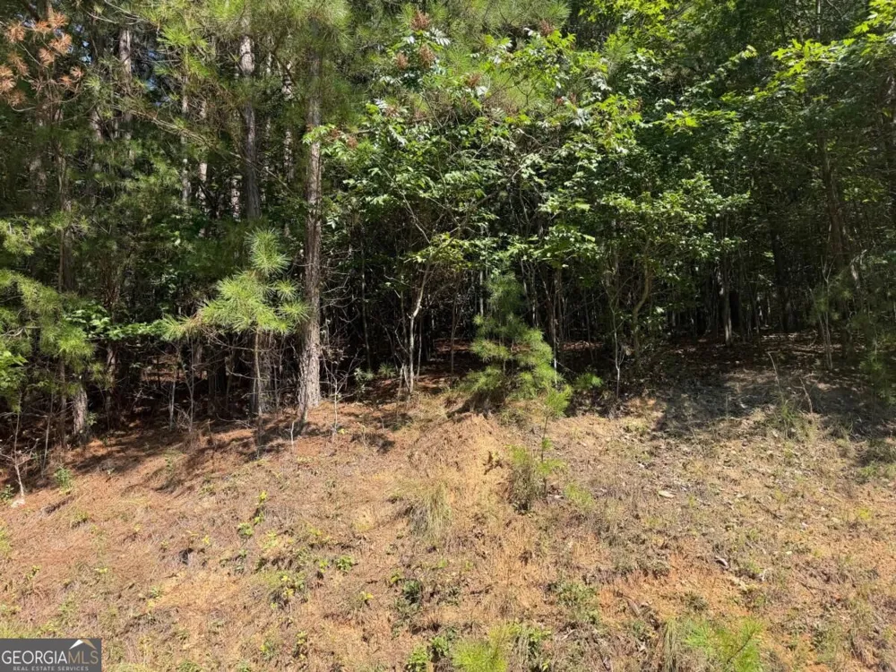 LOT 25 Trailwood DR Blairsville, GA 30512