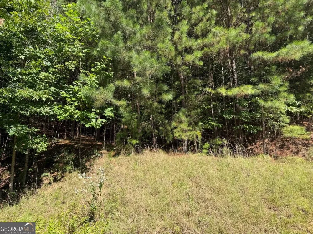 LOT 25 Trailwood DR Blairsville, GA 30512