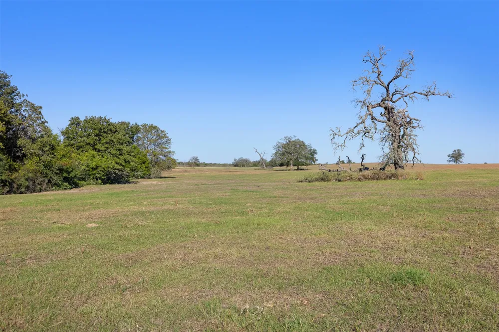 Stockade Ranch Road Paige, TX 78659