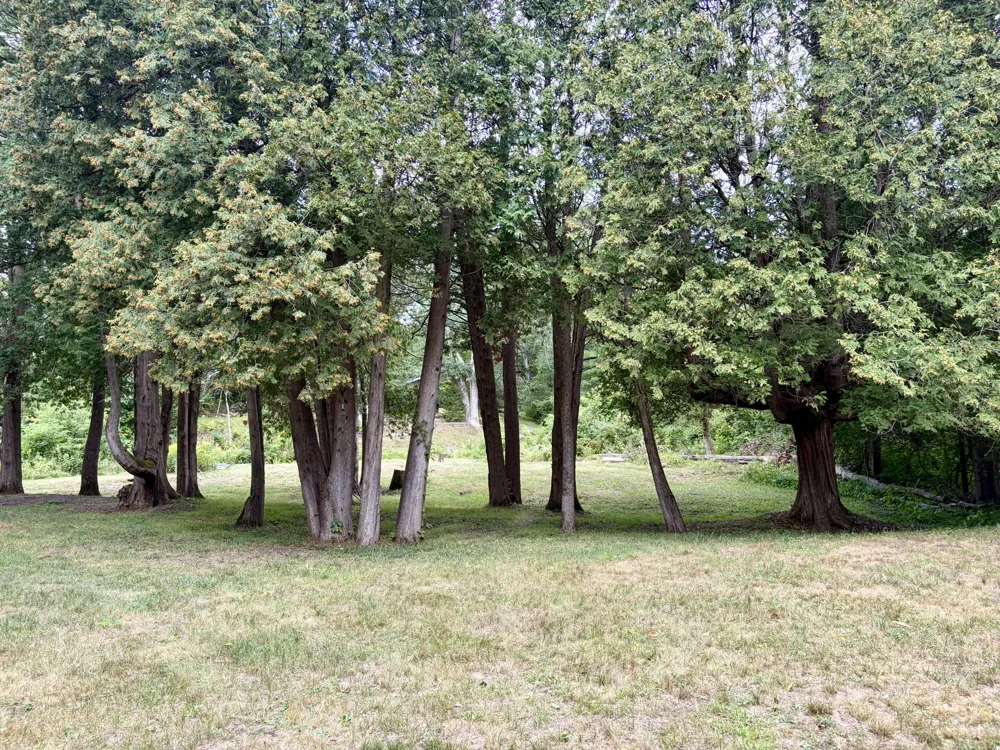 5797 S Woods Road Branch, MI 49402