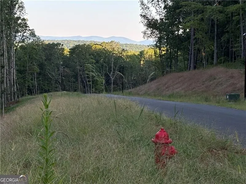 LOT 20 Norton Lane Dahlonega, GA 30533