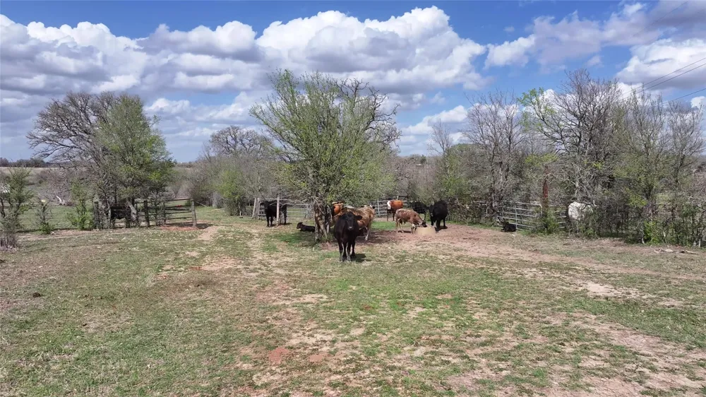FM 2440 Giddings, TX 78942