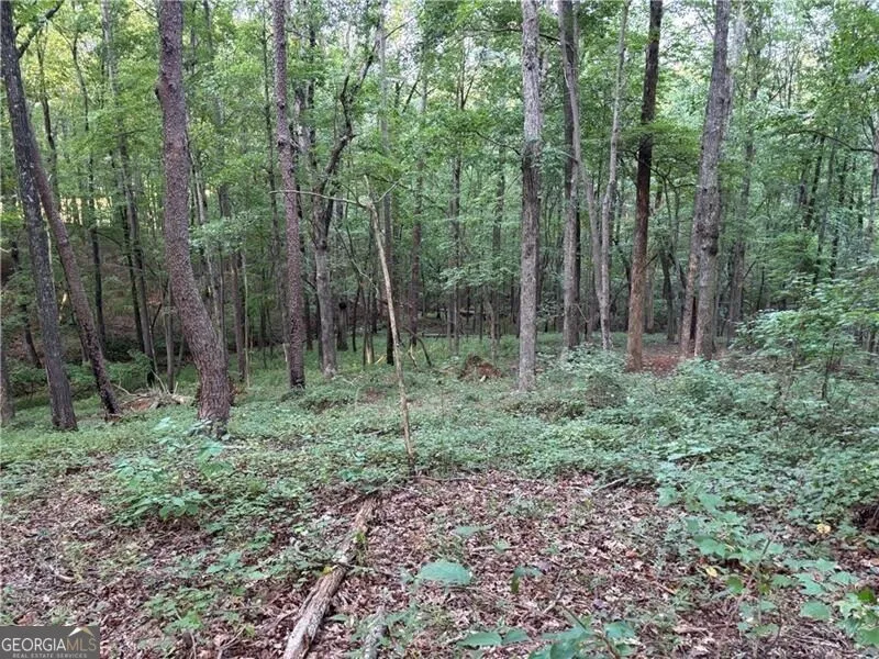 LOT 19 Norton Lane Dahlonega, GA 30533