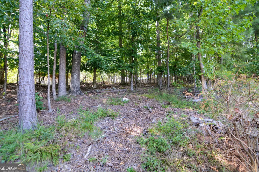 5001 Staverly LN NW Peachtree Corners, GA 30092