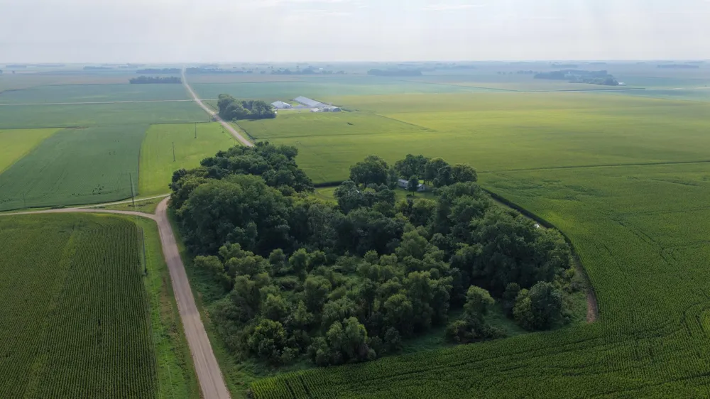 13603 105th Avenue SE Lake Lillian, MN 56253