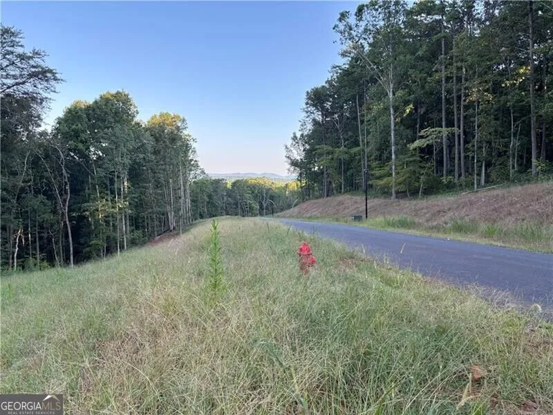 LOT 17 Norton Ridge Dahlonega, GA 30533