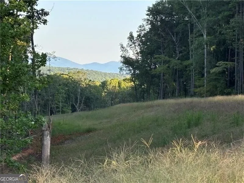 LOT 17 Norton Ridge Dahlonega, GA 30533