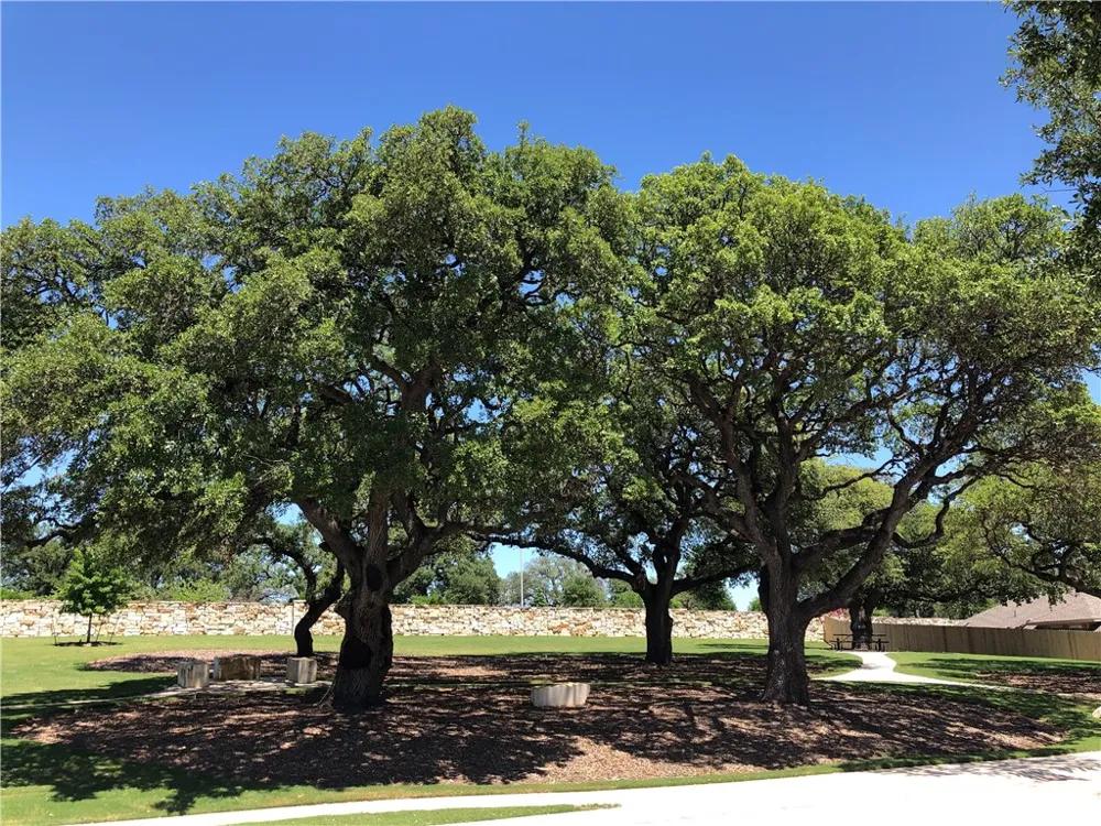 716 Allende Bend Austin, TX 78748