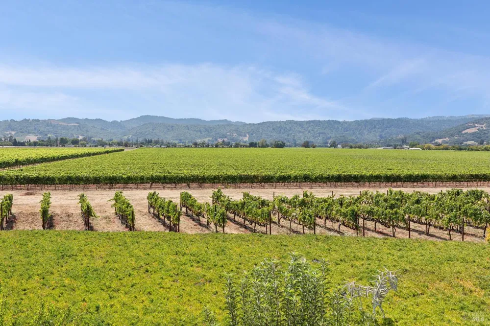 55 Hunter Ranch Road Napa, CA 94558
