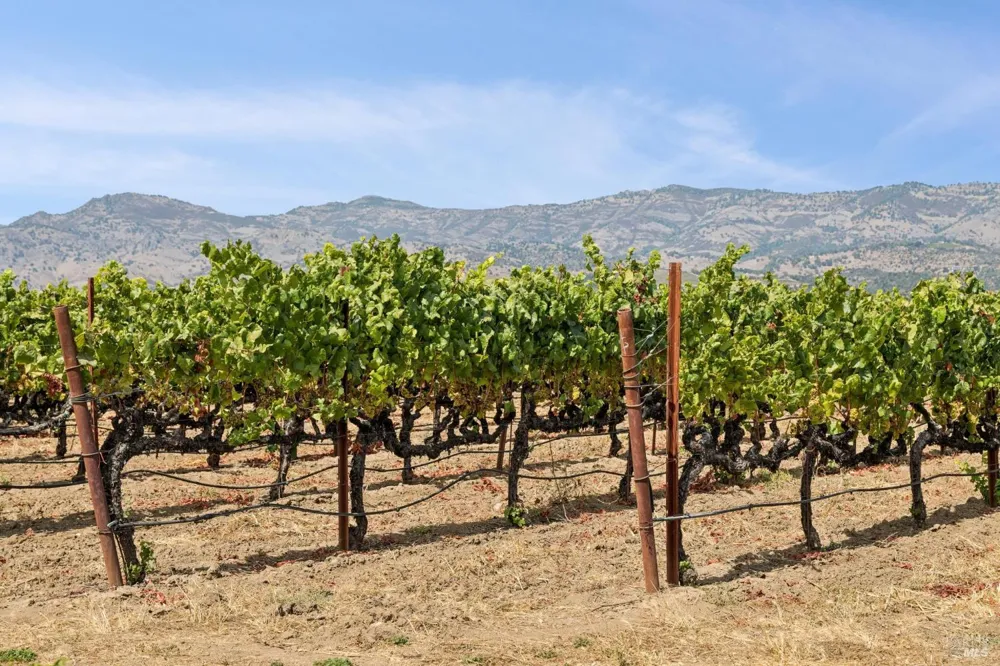 55 Hunter Ranch Road Napa, CA 94558