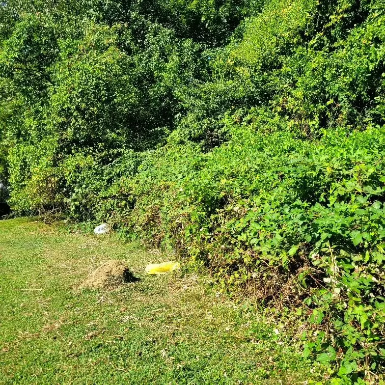 3109 07th Avenue Chattanooga, TN 37407