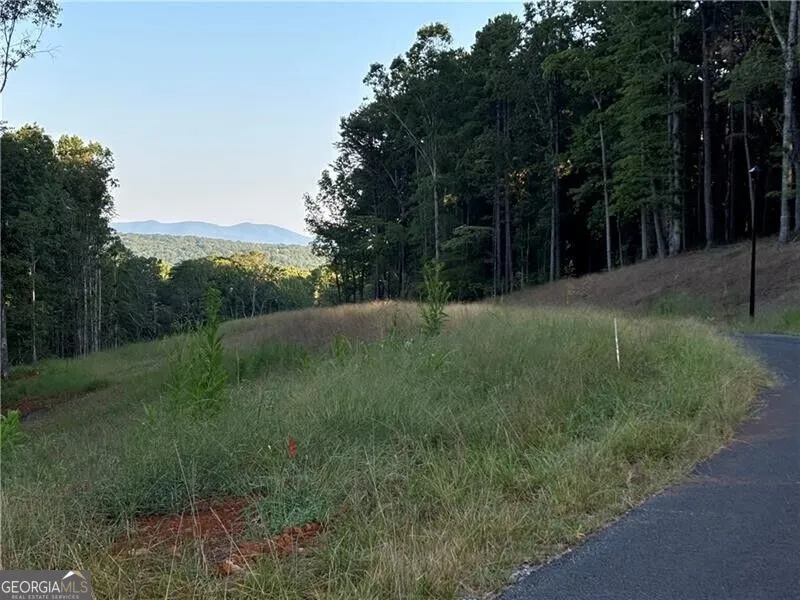 LOT 16 Norton Trail Dahlonega, GA 30533
