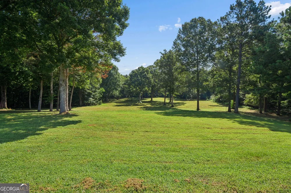 195 Green Meadow LN Fayetteville, GA 30215