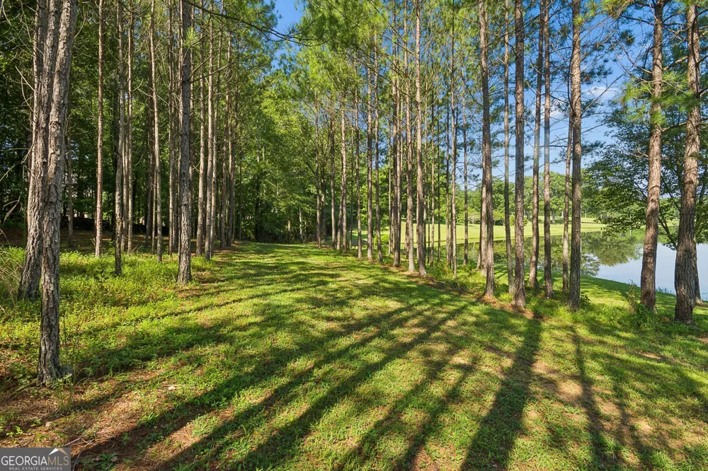 195 Green Meadow LN Fayetteville, GA 30215
