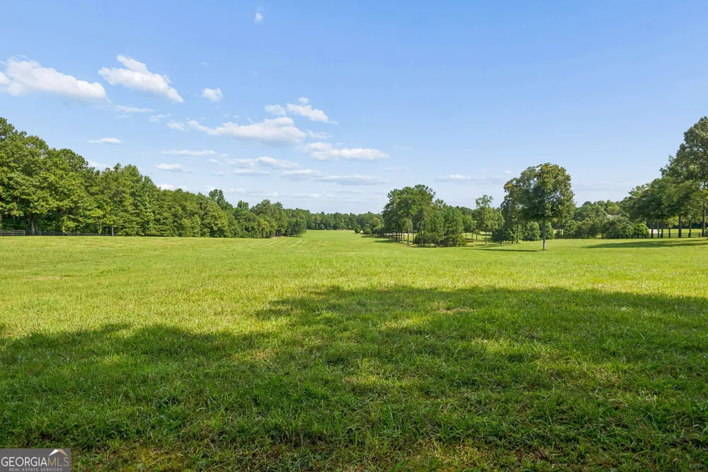 195 Green Meadow LN Fayetteville, GA 30215