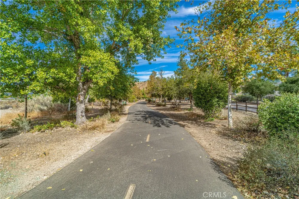 20160 Summit View Drive Canyon Country, CA 91351