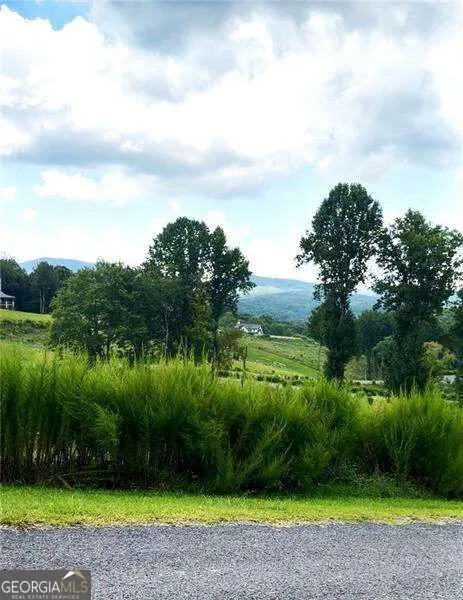0 Big Valley Drive Blue Ridge, GA 30513