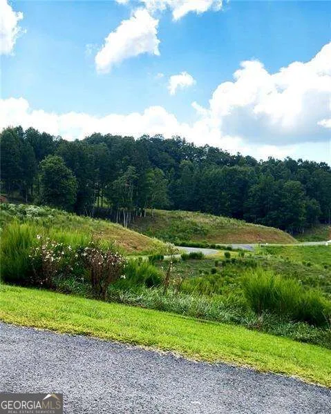 0 Big Valley Drive Blue Ridge, GA 30513