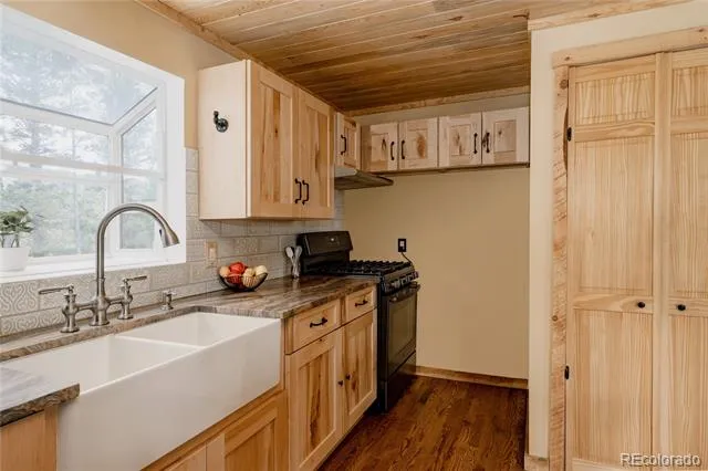 297 Circle Drive Evergreen, CO 80439