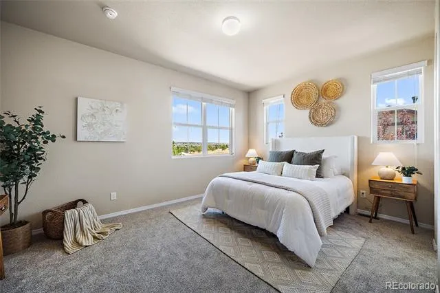 5348 Prominence Point Colorado Springs, CO 80923