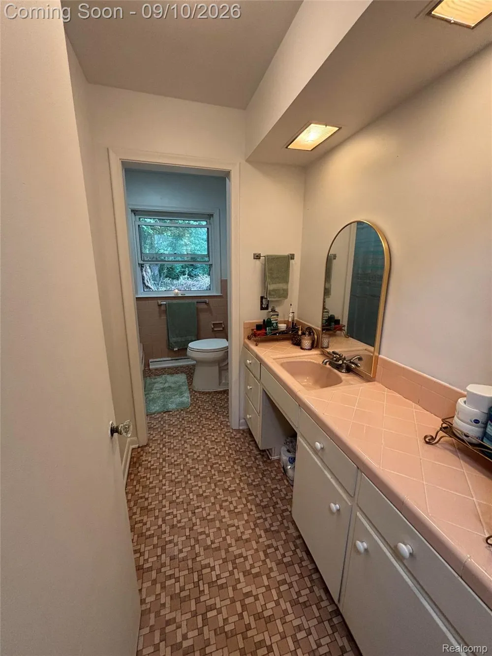 1359 Westwood Drive Flint Charter Township, MI 48532
