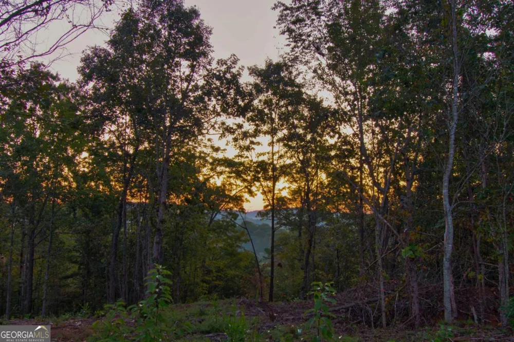 6.7 Grateful View DR Dahlonega, GA 30533