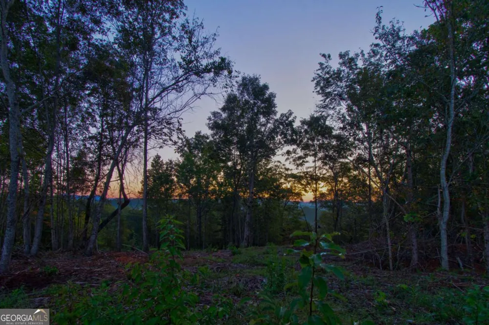 6.7 Grateful View DR Dahlonega, GA 30533