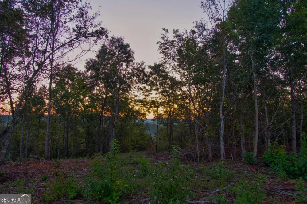 6.7 Grateful View DR Dahlonega, GA 30533