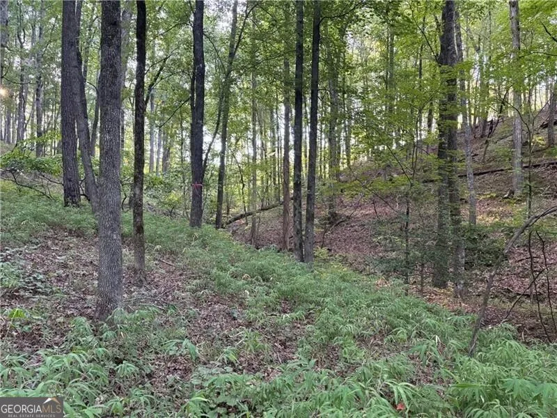 LOT 14 Norton Trail Dahlonega, GA 30533