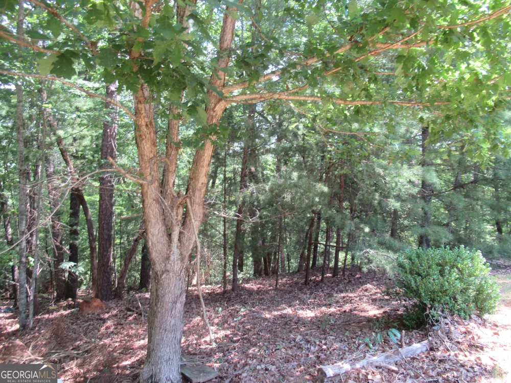 13 Hallmark PL Dahlonega, GA 30533