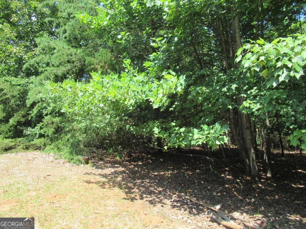 13 Hallmark PL Dahlonega, GA 30533