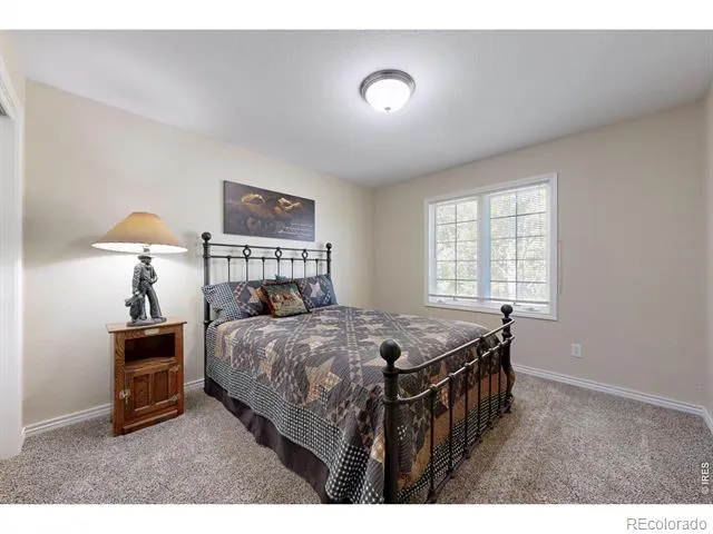 1591 Landon Court Windsor, CO 80550