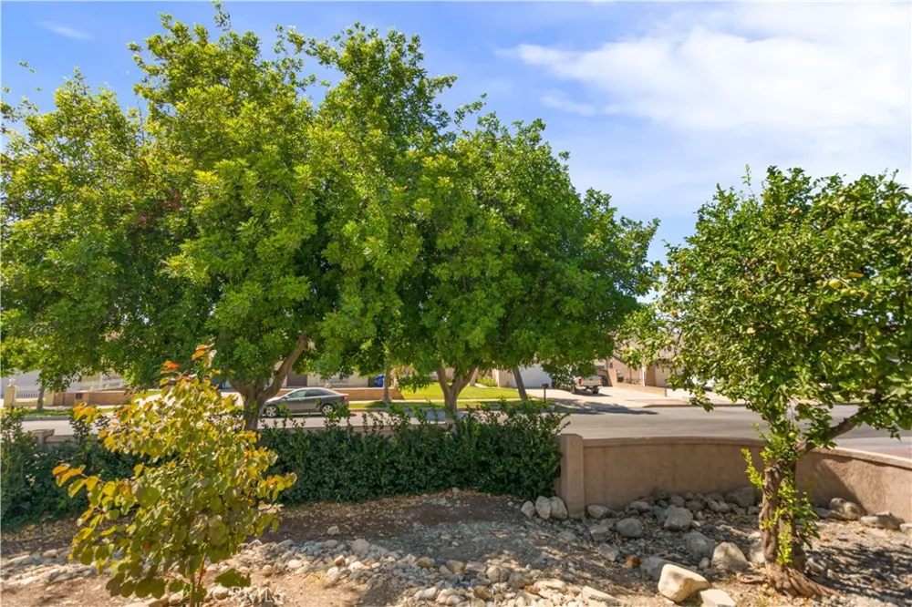 1412 Blossom Circle Upland, CA 91786