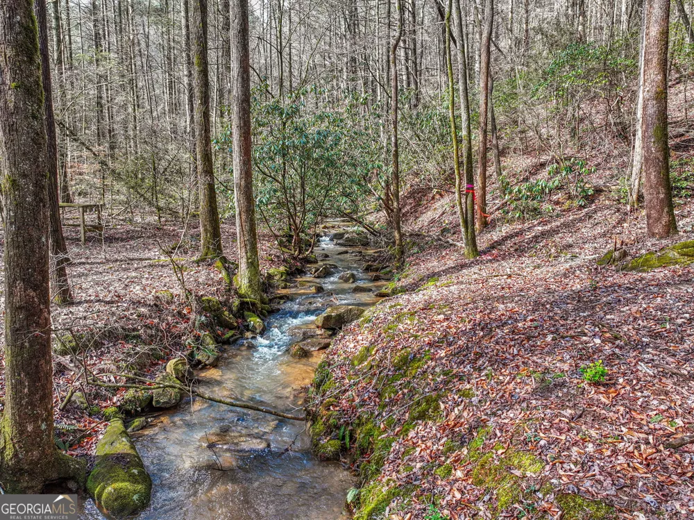 641 Bryant Farm LN Ellijay, GA 30540