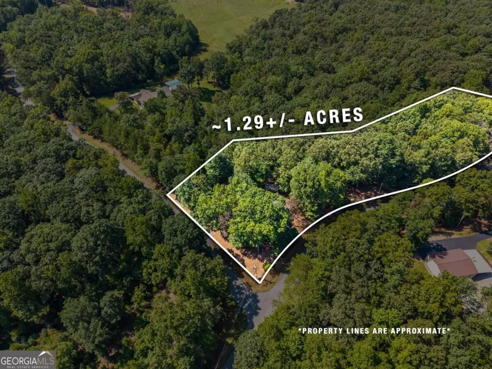 26 Tomahawk TRL Blairsville, GA 30512